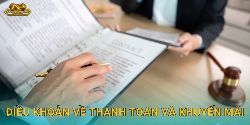 Điều khoản về thanh toán và khuyến mãi
