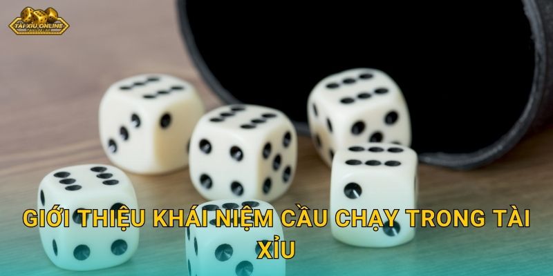 Giới thiệu khái niệm cầu chạy trong Tài Xỉu