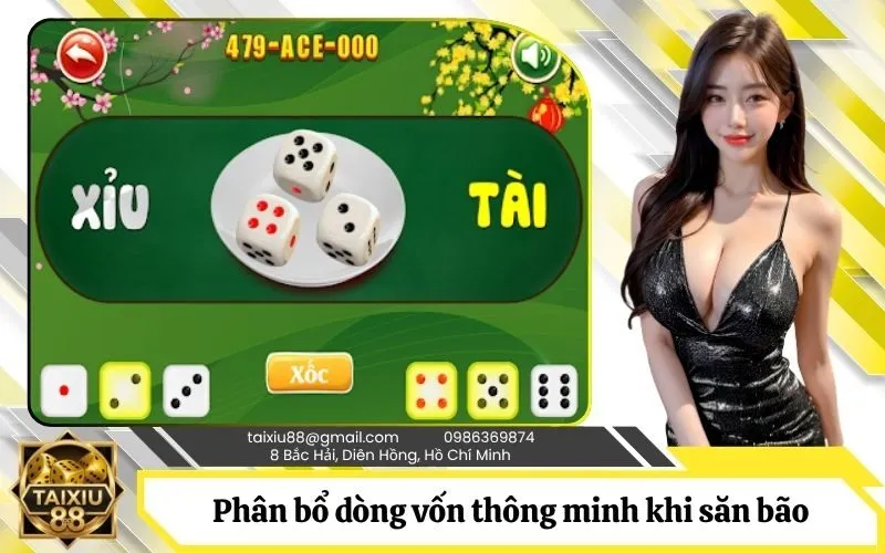 Chiến thuật phân bổ dòng vốn thông minh khi săn bão