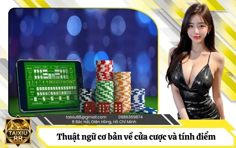 Hệ thống thuật ngữ cơ bản về cửa cược và quy tắc tính điểm