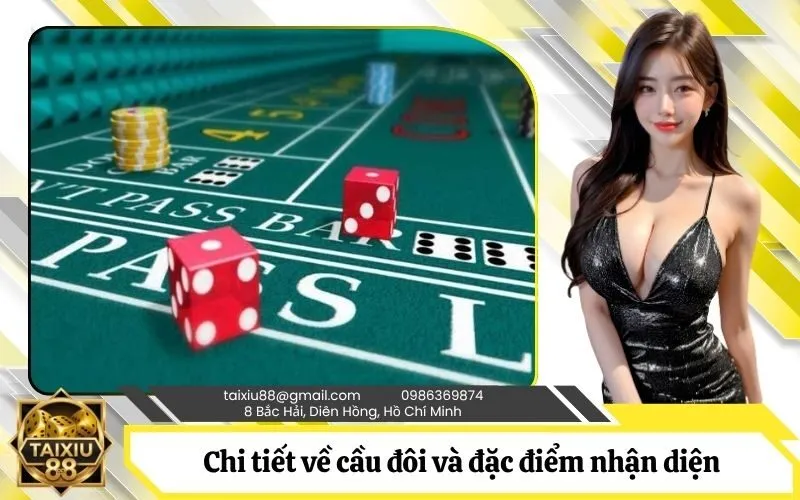 Khái niệm chi tiết về cầu đôi và đặc điểm nhận diện trên bảng vị