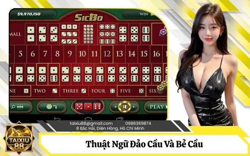 Thuật Ngữ Đảo Cầu Và Bẻ Cầu